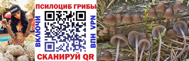 Псилоцибиновые грибы Magic Shrooms  Гулькевичи 